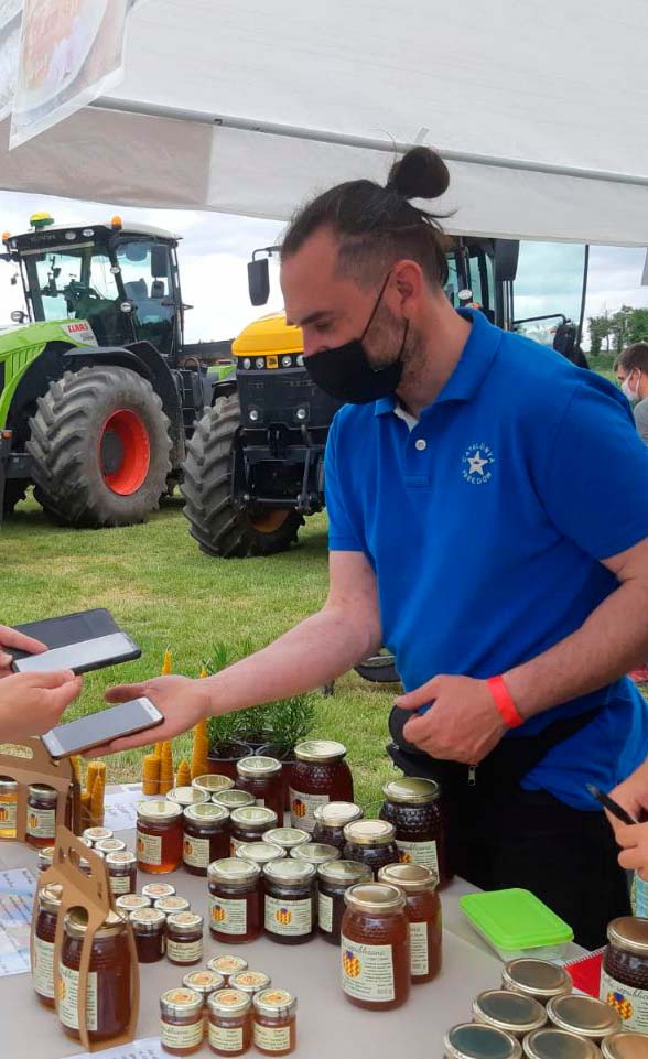 l'abella republicana mel fira fires natura abelles aplicultura apicultor